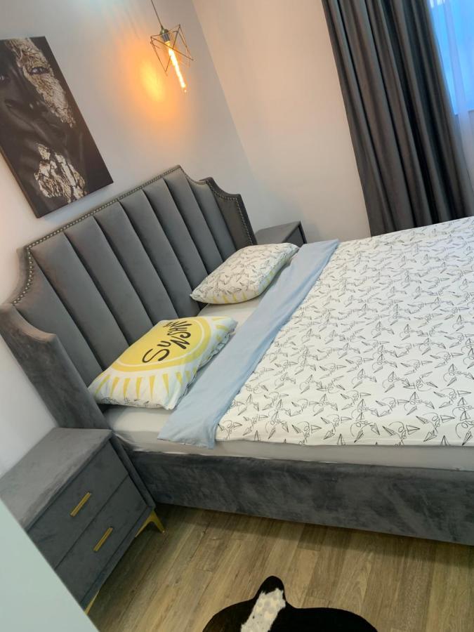 Raphael Apartment North Bucharest Cosmopolis Stefanestii de Jos Luaran gambar